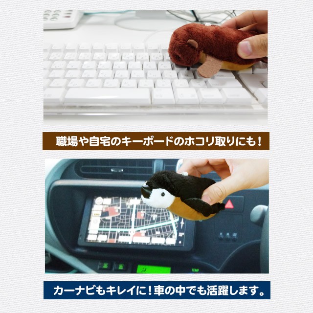 アニマル　スイーパー