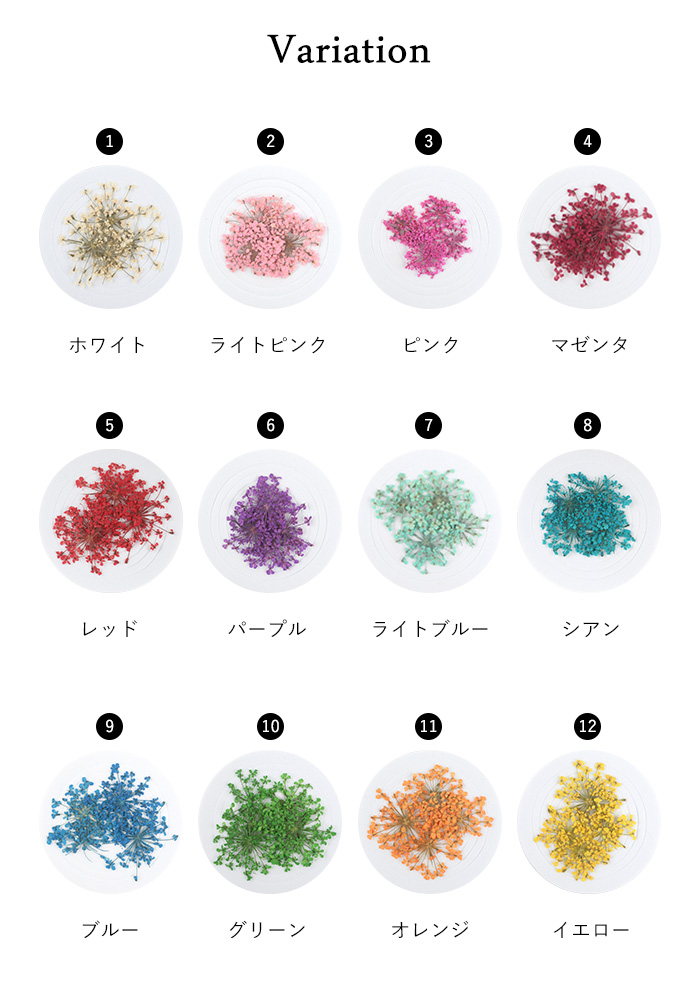 レースフラワーバリエーション