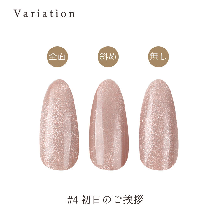 enoi マグネットジェル40色セット marron magnet – énoi