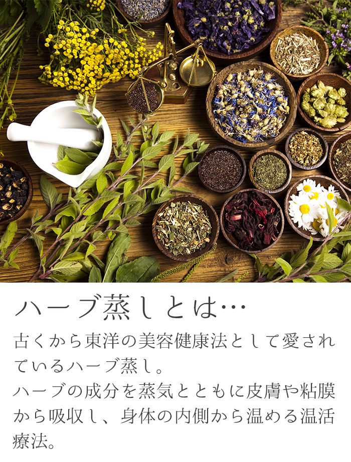 petitprice（プチプラ） ハーブ蒸し【ジンジャー】座浴リラックス癒し