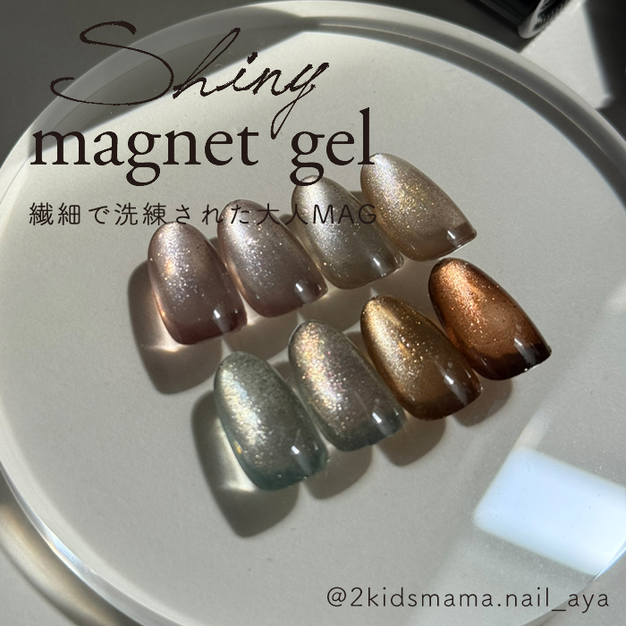 inbity シャイニーマグネットジェル Sh...の詳細画像1