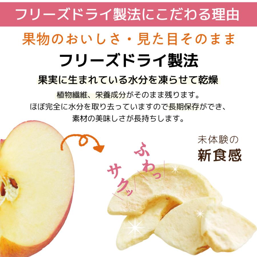 フリーズドライフルーツ いちご りんご バナナ パイナップル みかん メロン ミライフルーツ 無添加 砂糖不使用