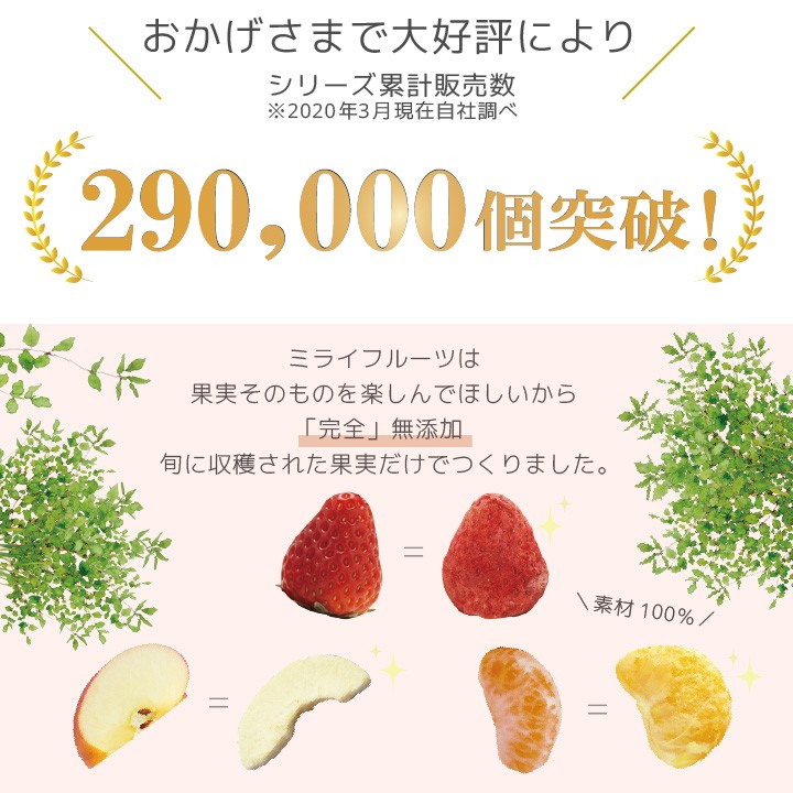 フリーズドライフルーツ りんご 無添加,無加糖,油不使用 ベビーフード :mirai-fruits-r:ビタットジャパン公式ショップ - 通販 -  Yahoo!ショッピング