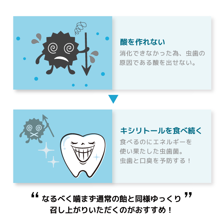 キシリトール 100% キャンディー キシリブロック 40g 全種類セット タブレット 虫歯予防 関連画像5