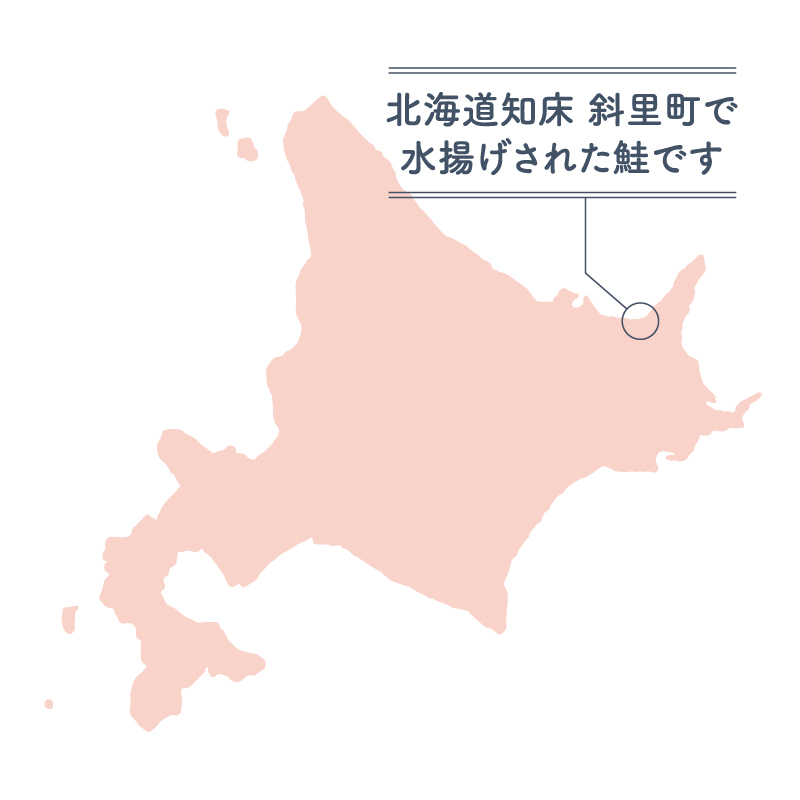 北海道知床の鮭を使った手ほぐし鮭