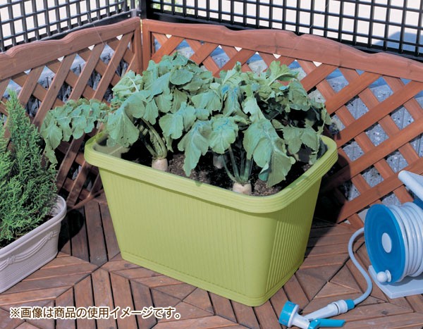 根もの野菜を植えるのに最適なプランターです！