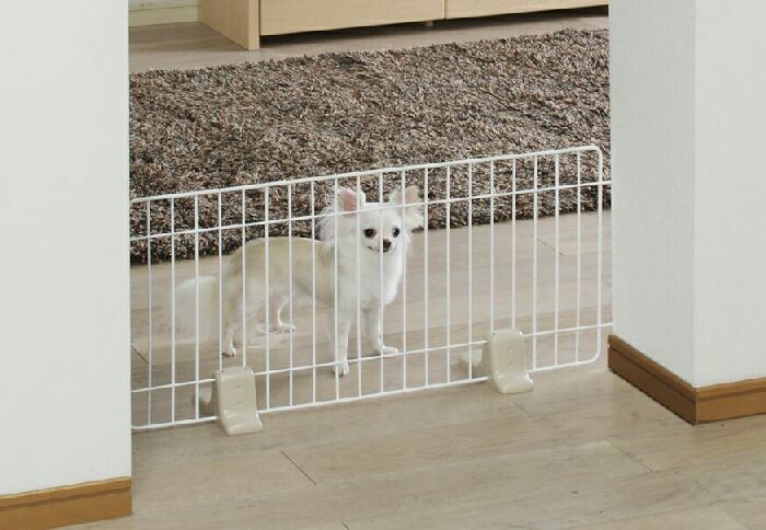 室内小型犬にぴったり お部屋と通路の間仕切り用ペットゲート ギガランキングｊｐ