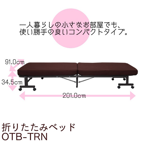 IRIS OHYAMA（アイリスオーヤマ） 折りたたみベッド シングル ベッド