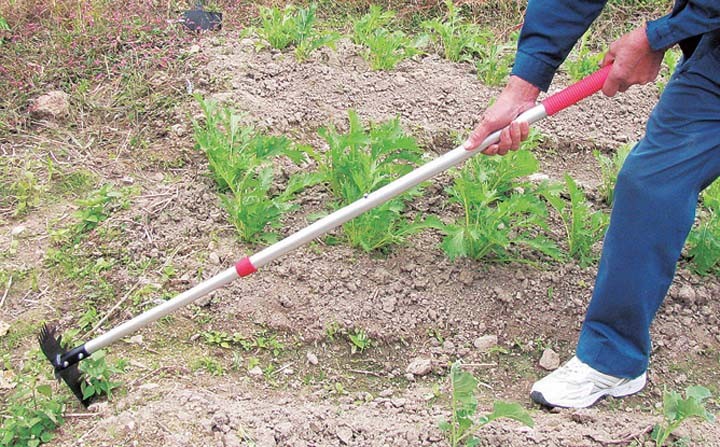 農業園芸ガーデン庭草刈り雑草刈り農具ガーデニング鍬公園花壇樹木雑草抜きくわ根こそぎマルチホーク「抜き太郎」ファミリー・ライフ 