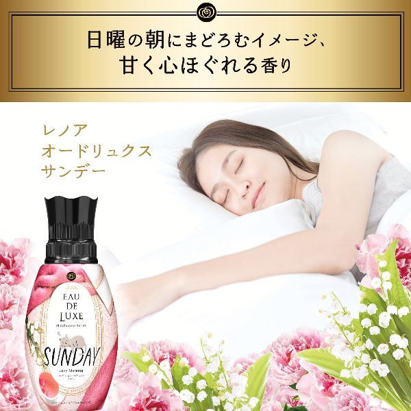 柔軟剤詰め替えレノア衣類・タオルプレミアムアロマEAUDELUXEまとめ買い消臭RelaxSleepSundayInnocent【6個セット】柔軟剤詰め替えレノアレノアオードリュクスマインドフルネスシリーズ/スタイルシリーズつめかえ用超特大サイズ1010mlP＆G 
