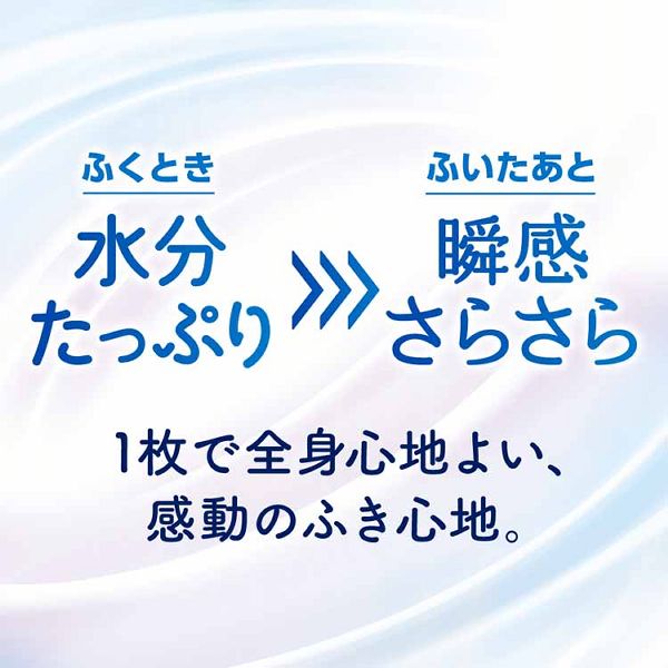 大判シート顔・からだ用瞬間さらさらデオドラント暑さ対策外出時レジャースポーツ制汗シート花王ボディシートビオレZeroシート20枚入KAO 