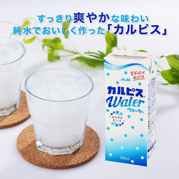 カルピスエルビーCALPIS乳酸菌酵母発酵自然製法旅行常温保存紙パック飲料紙パック飲料カルピス「カルピスウォーターR」(LL)紙パックスリム250ml×24本エルビー 