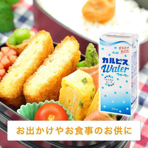 カルピスエルビーCALPIS乳酸菌酵母発酵自然製法旅行常温保存紙パック飲料紙パック飲料カルピス「カルピスウォーターR」(LL)紙パックスリム250ml×24本エルビー 