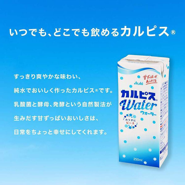 カルピスエルビーCALPIS乳酸菌酵母発酵自然製法旅行常温保存紙パック飲料紙パック飲料カルピス「カルピスウォーターR」(LL)紙パックスリム250ml×24本エルビー 
