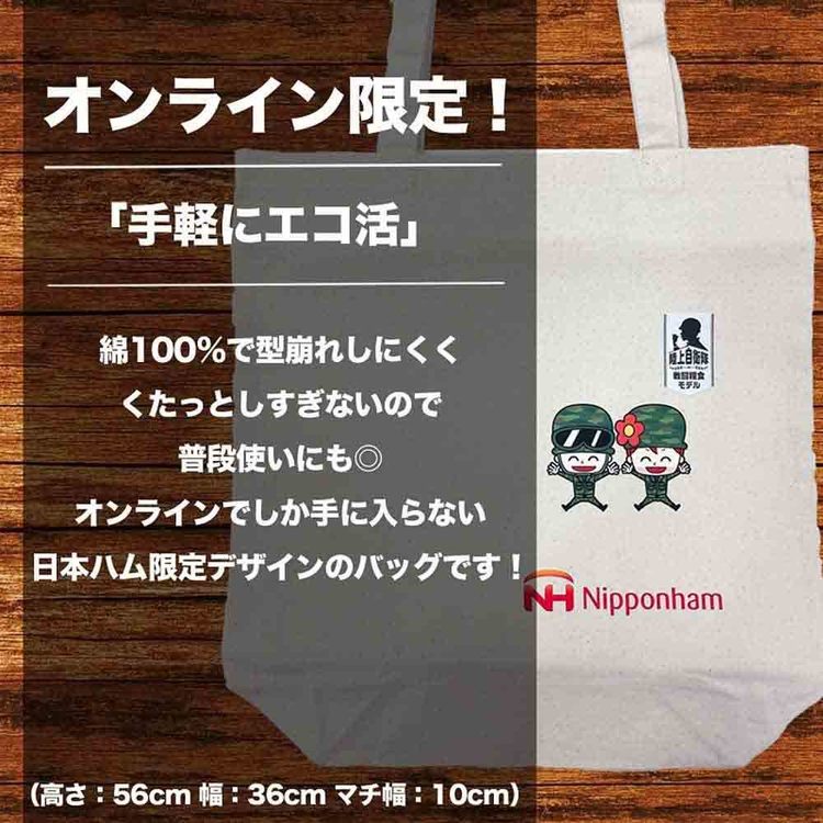 非常食防災防災食常温長期保存備蓄ローリングストック仕送り肉ギフト防災食ギフト（エコバッグセット）BO-EBS【常温】日本ハム 