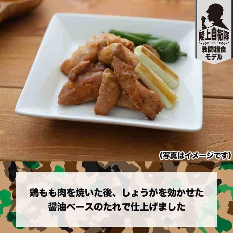 非常食防災防災食常温長期保存備蓄ローリングストック仕送り肉ギフト防災食ギフト（エコバッグセット）BO-EBS【常温】日本ハム 