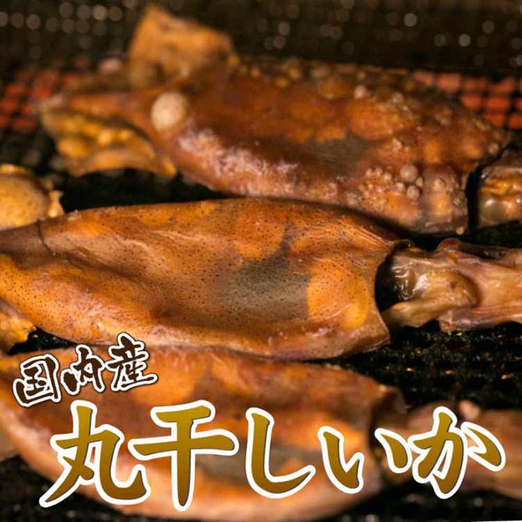 国産イカ珍味つまみ肴無添加丸干し炙りワタイカワタ丸干しいかおつまみ珍味85gTokka 