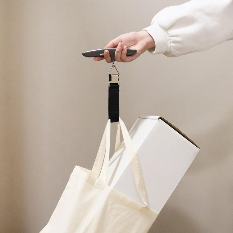 計量器飛行機空港旅行荷物はかり重量オーバースーツケース機内持ち込みキャリーケースドリテック荷物はかりラゲッジスケールバックライト付きシルバードリテック 