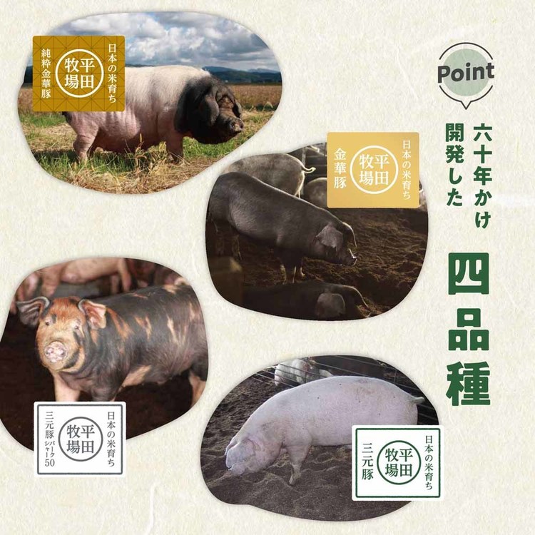 平田牧場平田牧場金華豚金華豚平田牧場三元豚三元豚米ハムソーセージ生ハムベーコン平田牧場特製ハムソーセージ詰合せセット株式会社平田牧場 