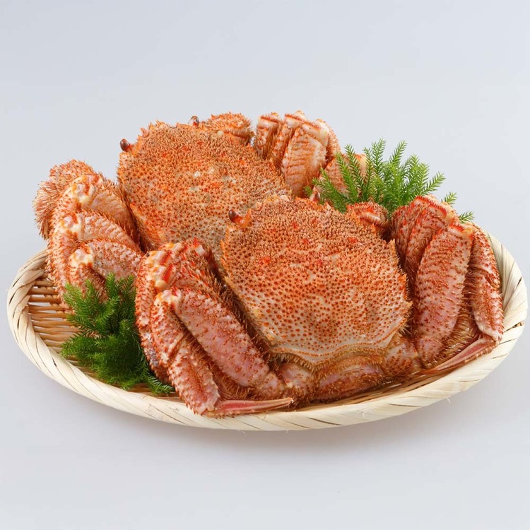 カニ毛ガニボイル北海道冷凍ギフト【倉庫登録】北海道産ボイル毛ガニ570g 