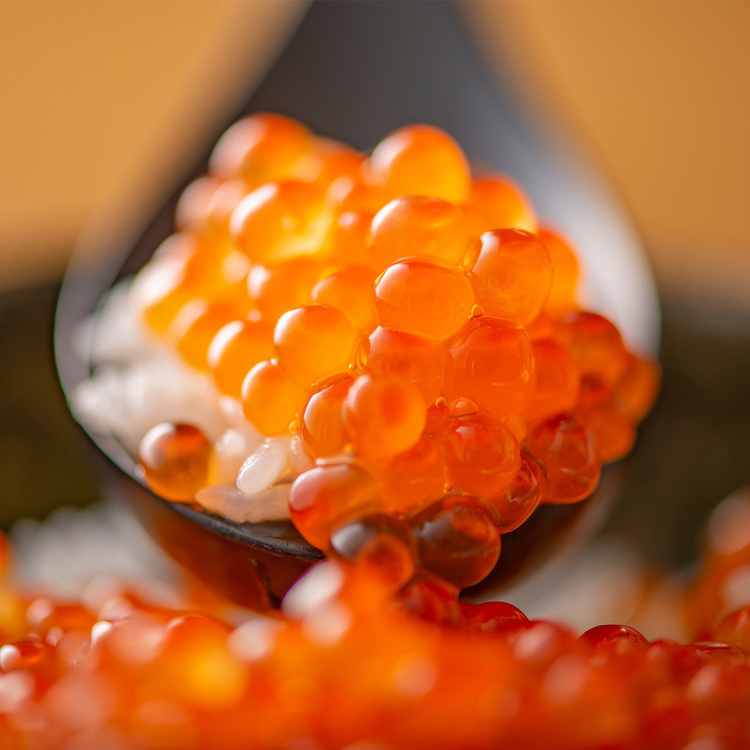 いくら醤油漬け魚卵海鮮丼いくら丼ギフト冷凍冷凍【倉庫登録】北海道産いくら醤油漬100g×3 