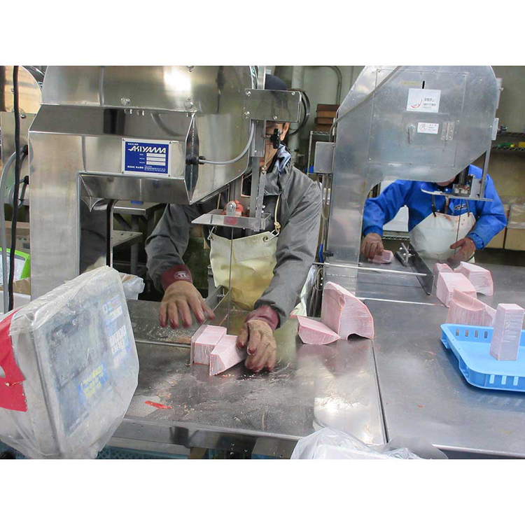 まぐろ本鮪中トロ赤身黒鮪天然神奈川県漁連三崎港本まぐろサク2種セット 