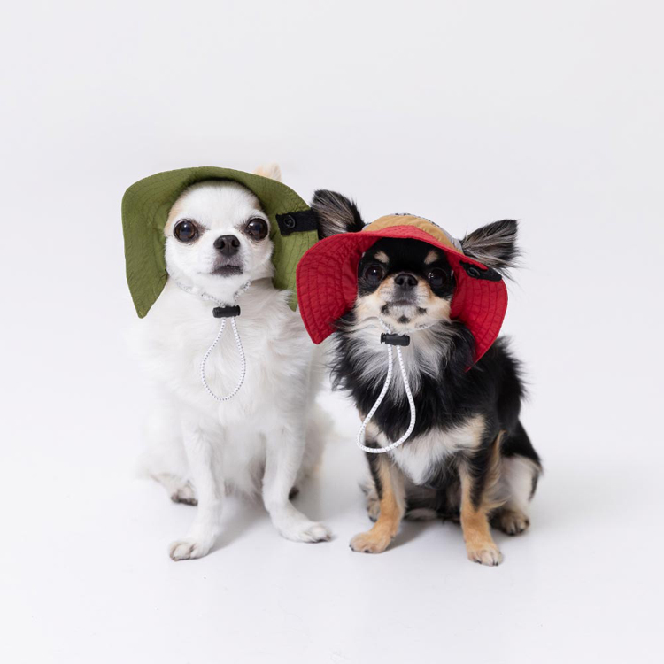 pipi 犬 帽子 夏 犬帽子 PiPi サファリハット Sサイズ おしゃれ 日除け