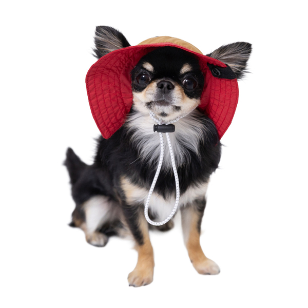 pipi 犬 帽子 夏 犬帽子 PiPi サファリハット Sサイズ おしゃれ 日除け