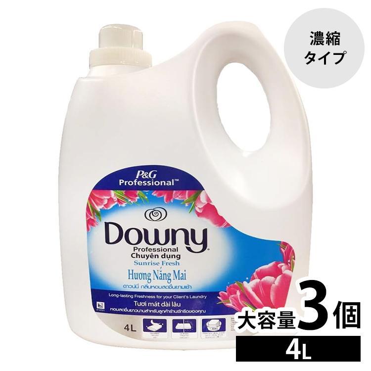 柔軟剤 ダウニー 業務用 アジアンダウニー 1.8L 1800ml 2本セット 家庭