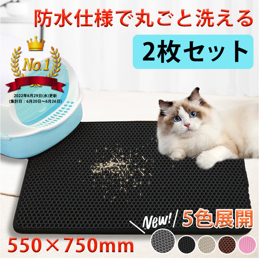 Amazon.co.jp: デビフ ドッグフード ラムミンチ ラム100 ベース ゴールド 犬 全カテゴリー 150グラム (x 3)  (まとめ買い) : Pet Supplies