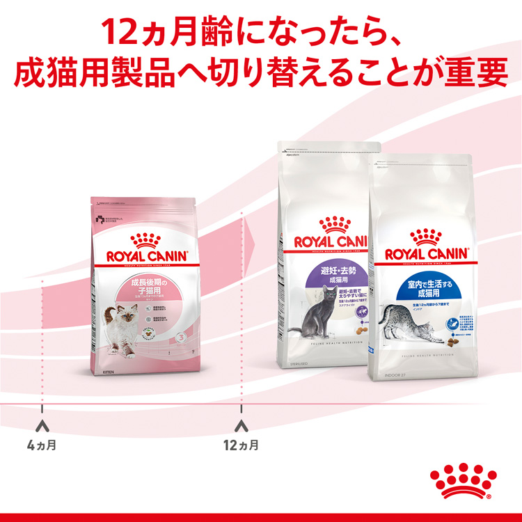 ひろ　ロイヤルカナン Amazon | ロイヤルカナン FHN キトン 子猫用 400g | ロイヤル