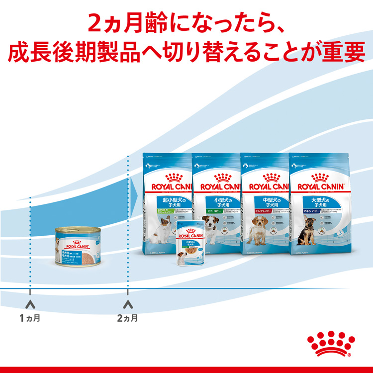 ロイヤルカナン SHN ウェット スタータームース マザー＆ベビードッグ