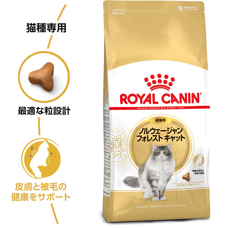 ロイヤルカナンFBN ノルウェージャン フォレストキャット 成猫 ( 2kg*6コセット )/ ロイヤルカナン(ROYAL CANIN) (  キャットフード ) :19498:ペットランドYahoo!店 - 通販 - Yahoo!ショッピング