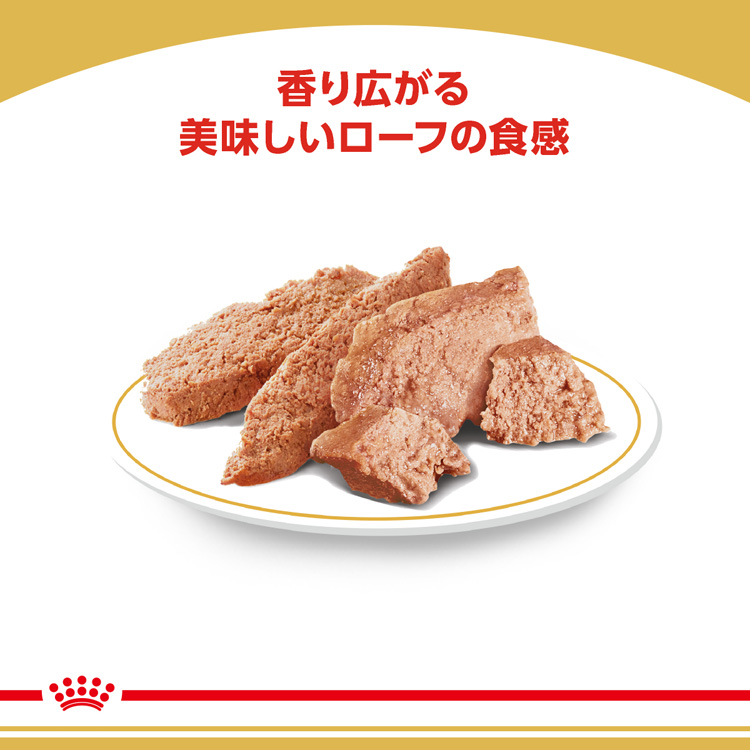 ロイヤルカナン BHN ウェット ダックスフンド 生後10ヵ月以上の成犬〜高齢犬用 ( 85g*48コセット )/ ロイヤルカナン(ROYAL  CANIN) ( ドッグフード ) :21209:ペットランドYahoo!店 - 通販 - Yahoo!ショッピング