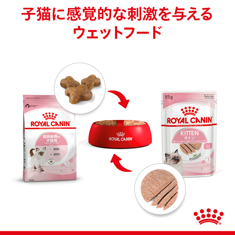 ロイヤルカナン 猫用 FHN-WET ヘアー＆スキン ケア グレービー