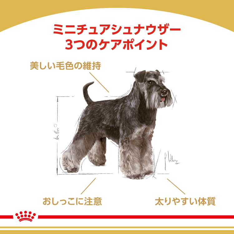  CANIN ミニチュアシュナウザー ドライフード 3kg×2袋 CANIN ドライフード 3kg×2袋  ミニチュアシュナウザー