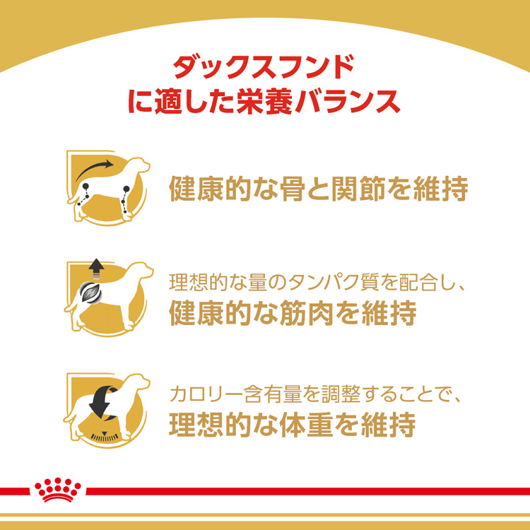 海外 ロイヤルカナン ブリードヘルスニュートリション ダックスフンド 成犬用 3kg ROYAL CANIN ドッグフード  notimundo.com.ec