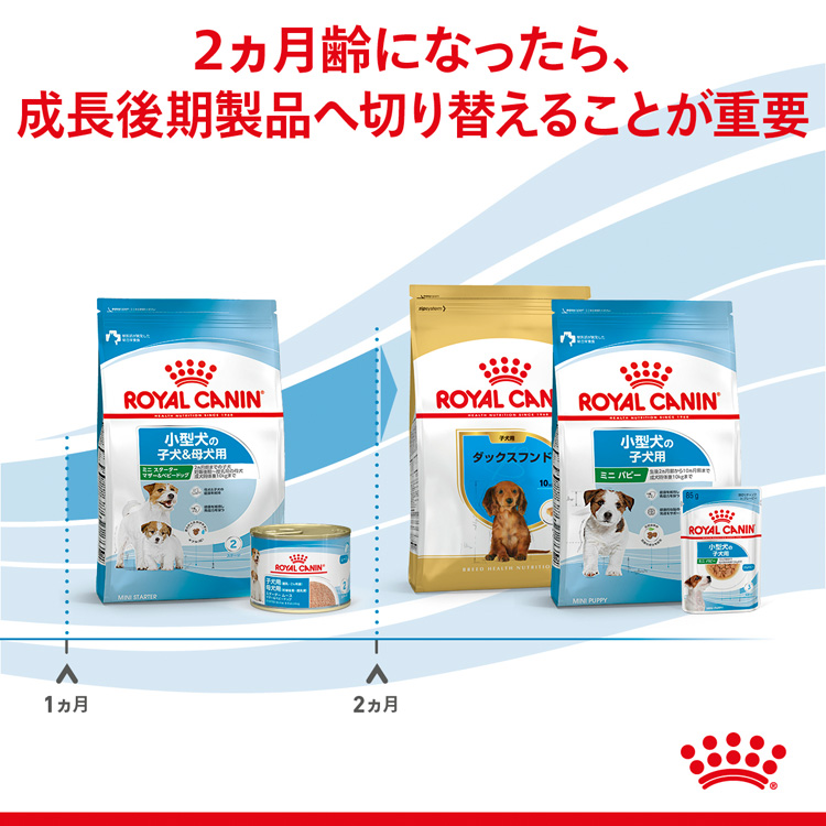 ロイヤルカナン　ミニスターターマザー&ベビードッグ 3kg 2袋　計6キロ ロイヤルカナン（ROYAL CANIN） SHN ミニ スターター マザー＆ベビー
