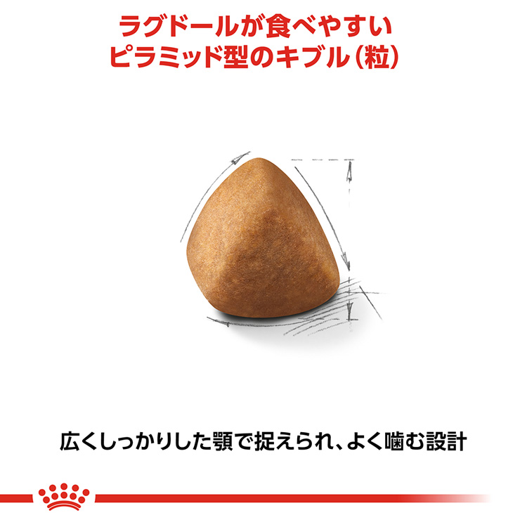 未開封】ROYAL CANIN ラグドール 2kg×6袋