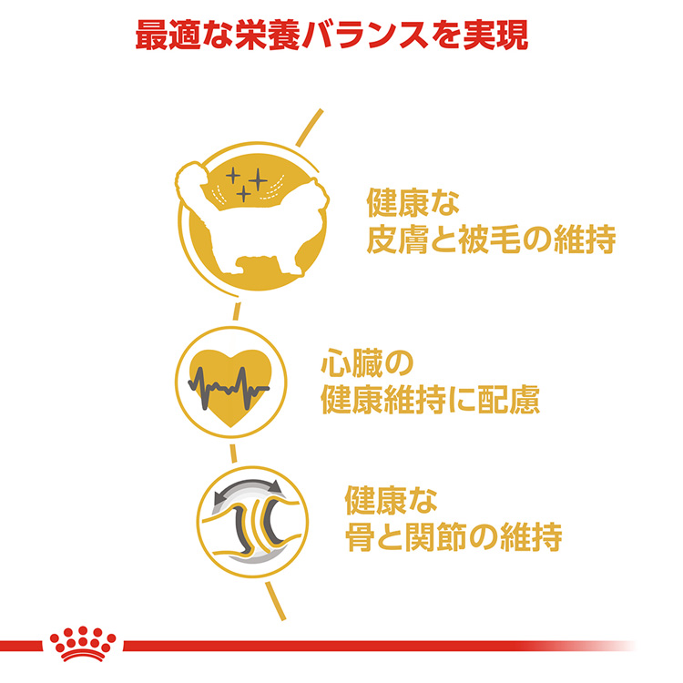 【未開封】 CANIN ラグドール 2kg×6袋 ロイヤルカナン ラグドール 成猫用 2kg（3182550825351）｜猫