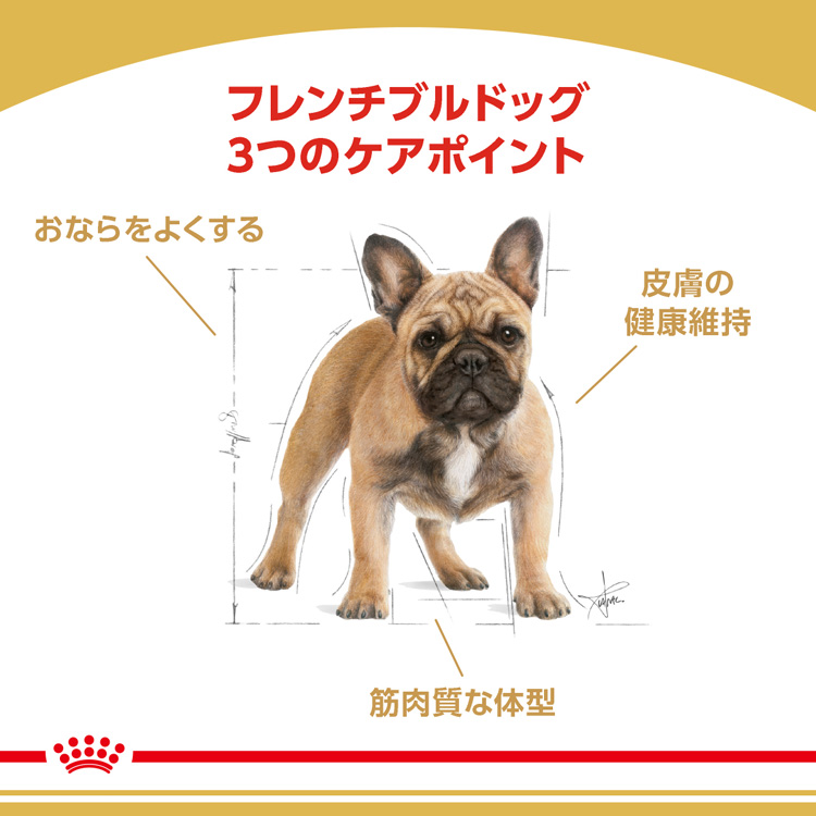 ロイヤルカナンブルドッグ12kg送料無料 Amazon.co.jp: ロイヤルカナン ブルドッグ 成犬・高年齢用【12kg