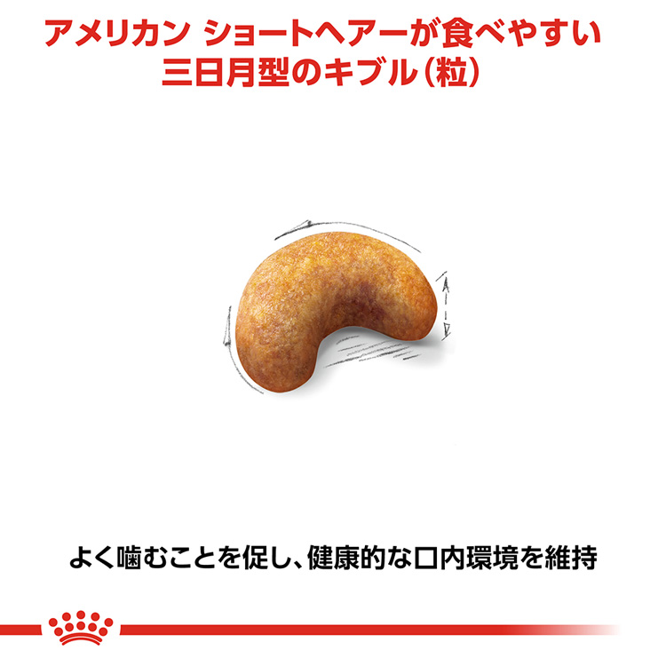 ロイヤルカナンFBN アメリカンショートヘアー 成猫用 ( 400g