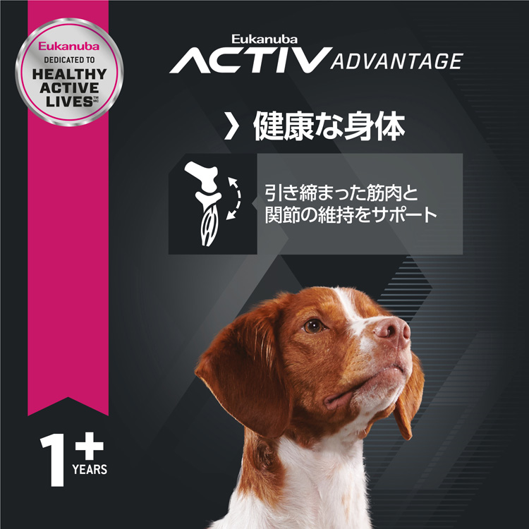ユーカヌバ ミディアム アダルト 成犬用 中型犬用 1歳以上 ( 2.7