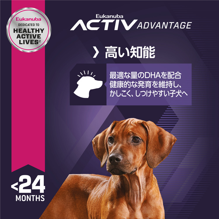 ユーカヌバ ラージ パピー 子犬用 大型犬用 24ヶ月まで ( 7.5kg
