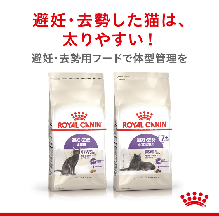 【2kg×3袋】 CANIN 避妊・去勢成猫用 2kg 2kg×3袋】ROYAL CANIN 避妊・去勢成猫用 2kg