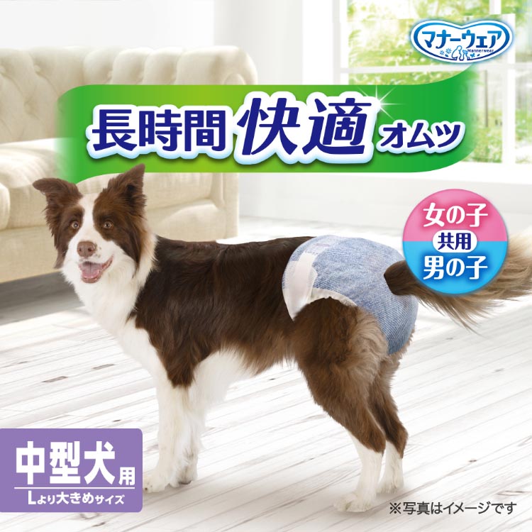 z4520699027493.jpg