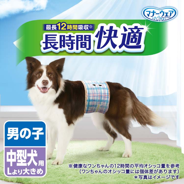 マナーウェア 長時間快適オムツ 中型犬 男の子用 ( 24枚入 )/ マナー