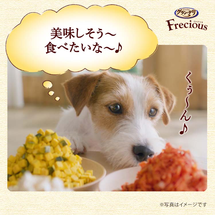 グラン・デリ フレシャス(Frecious) 13歳以上用 チキン＆ビーフ入り