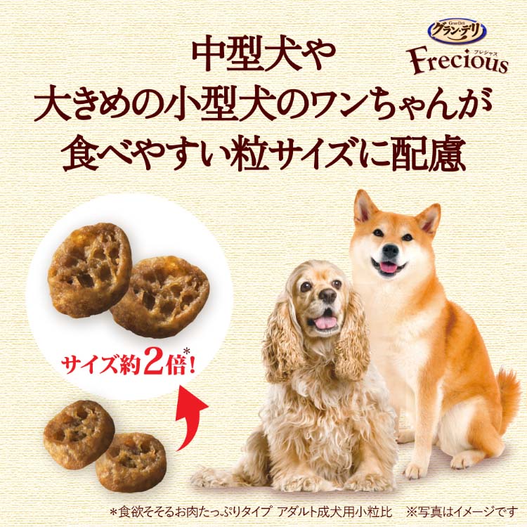 グラン・デリ Frecious アダルト成犬用 お肉たっぷりタイプ チキン