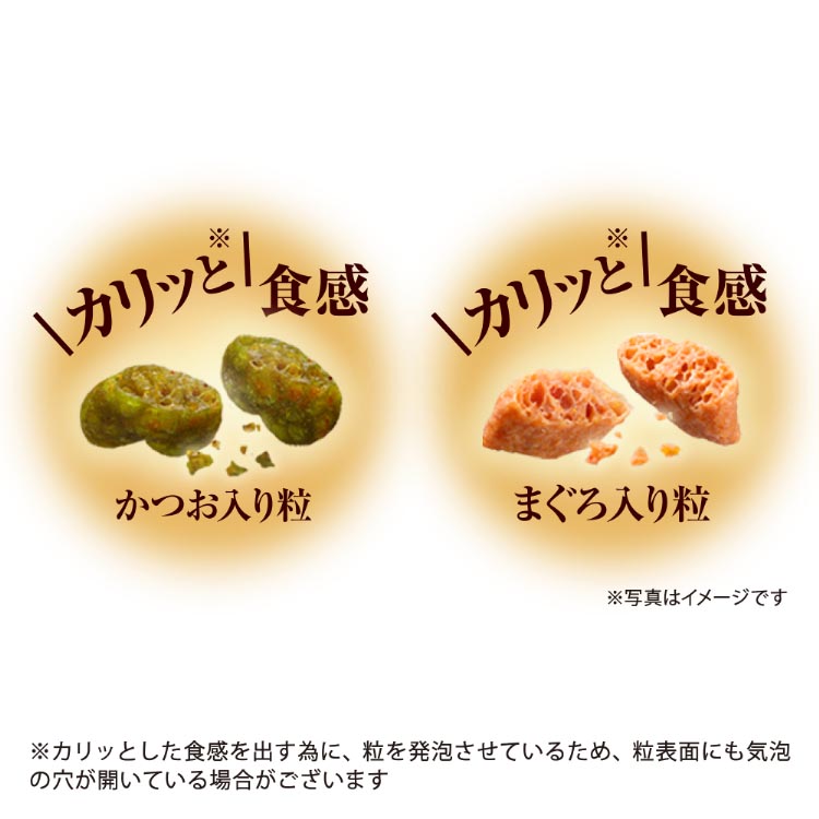 銀のスプーン 三ツ星グルメ 香るお魚仕立て お腹ケア お魚レシピ 4種の